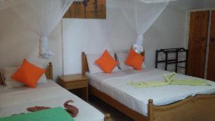 Oasis Beach Resort - Negombo - 5