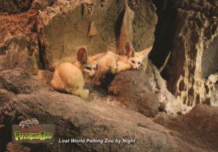 Sunway Lost World Hotel - Ipoh - 6