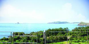Y Resort Jeju - 5