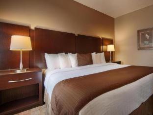 Best Western Plus Russellville Hotel & Suites - Russellville - 4