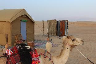Legend Desert camp - Fulayj al Mashāʼikh - 4