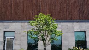 Jeju Aerospace Hotel - 9