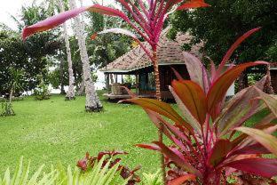 Dolarog Beach Resort - El Nido - 1