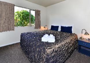 Arena Motel - Christchurch - 6