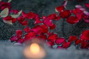 Cambana d'Angkor Suites - Siem Reap - 5
