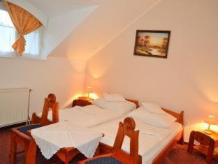 Fodor Hotel - Gyula - 8