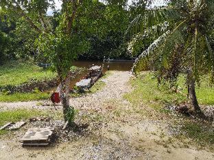 Mulu Diana Homestay - Mulu - 7