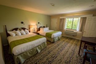 Fox Ridge Resort - North Conway - 2