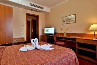 Hotel Brasov - 7