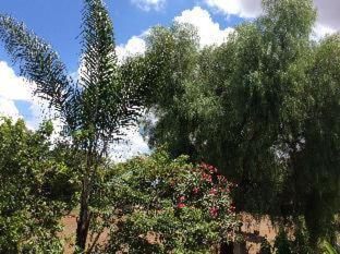Korona Villa Lodge - Arusha - 2