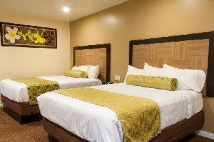 Best Western Plus Glendale - Glendale - 4