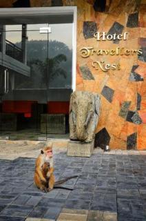 Hotel Travellers Nest Kandy - Kandy - 4