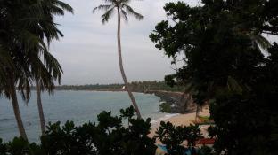 Cool Beach Hotel - Hikkaduwa - 8
