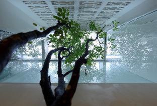 K Maison Lanna Boutique Hotel-SHA Plus Certified - 7