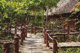 Loboc River Resort - 7