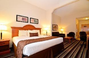 Best Western Windsor Inn and Suites - Danville - 7