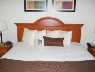 Best Western Windsor Inn and Suites - Danville - 1