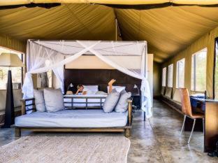 Honeyguide Tented Safari Camp - Khoka Moya - Riserva di Caccia Manyeleti - 9