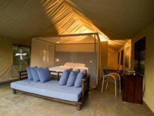 Honeyguide Tented Safari Camp - Khoka Moya - Riserva di Caccia Manyeleti - 7