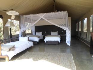 Honeyguide Tented Safari Camp - Khoka Moya - Riserva di Caccia Manyeleti - 5