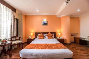 Airport Hotel Kathmandu - Near Pashupatinath Temple - 4