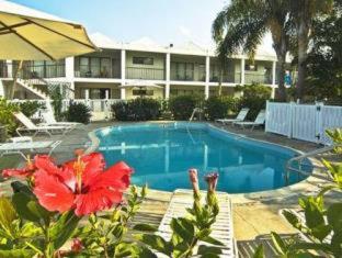 The Beachcomber St. Pete Beach Resort & Hotel - 5