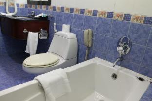 Pars International Hotel - 1