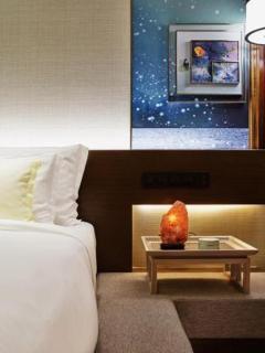 The Anandi Hotel and SPA - Luxury Healing Hotel for Wellbeing - Shanghai - 6