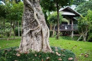 Mae Nai Gardens - 2