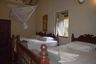 WildEscape, Yala Blocks 3 & 5 - Buttala - 5