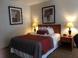 Mikado Hotel - 3