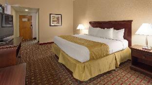 Best Western Tampa - 6