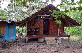 Mutiara Beach Resort - Berakit - 3