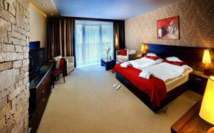 Wellness Hotel Chopok - 7