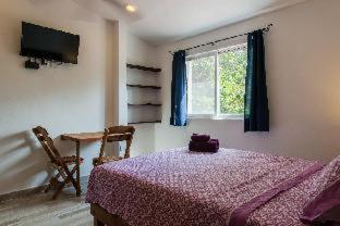 Villas Picalu Studios & Suites - Puerto Aventuras - 7