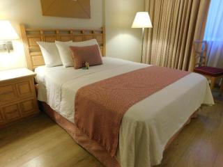 Hotel Palacio Azteca - Tijuana - 3