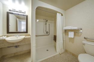 Monte Carlo Inn & Suites Downtown Markham - 6