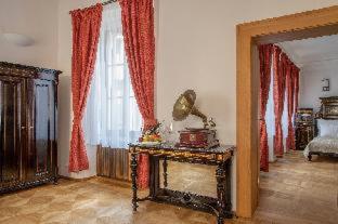 Hotel At the Green Grape - Prag - 3