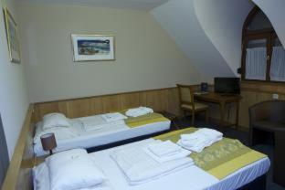 Nyerges Hotel Termál Superior - Monor - 4