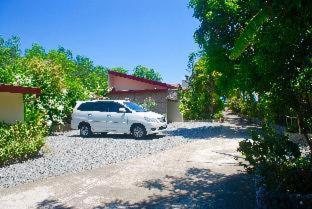 Olana Bed and Breakfast - Labrador - 8