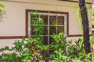 Olana Bed and Breakfast - Labrador - 6