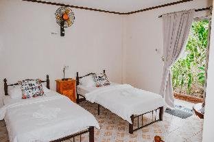 Olana Bed and Breakfast - Labrador - 3
