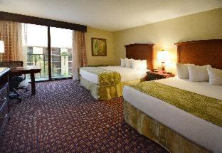 Rosen Inn Closest to Universal - 7