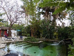Hoosville Hostel (Formerly The Everglades Hostel) - Florida City - 4