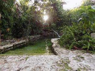 Hoosville Hostel (Formerly The Everglades Hostel) - Florida City - 2