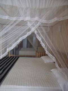 Sky Garden Mini Hotel - Mirissa - 1