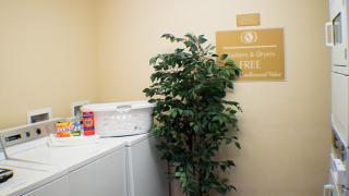 Candlewood Suites Jacksonville by IHG - Jacksonville - 0