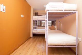 Holiday Hostel - Kathmandu - 1