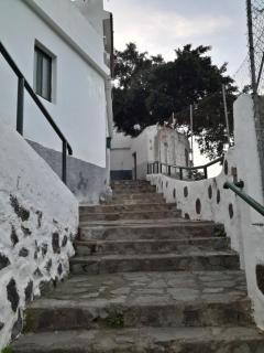 Lagarto - Agaete - 8