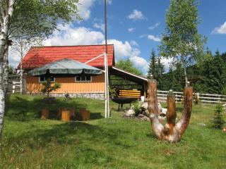 Podina Guest House - Poiana Horea - 6